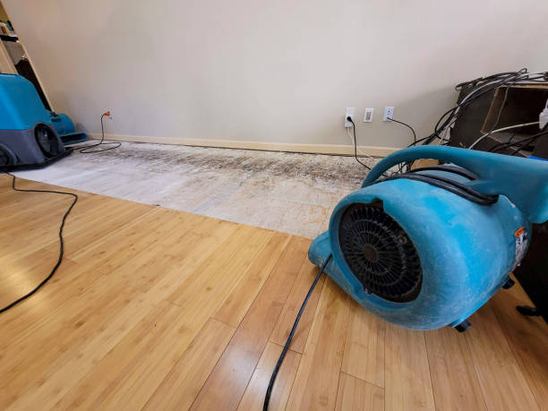 Professional Water Extraction technician working in Morrison, CO